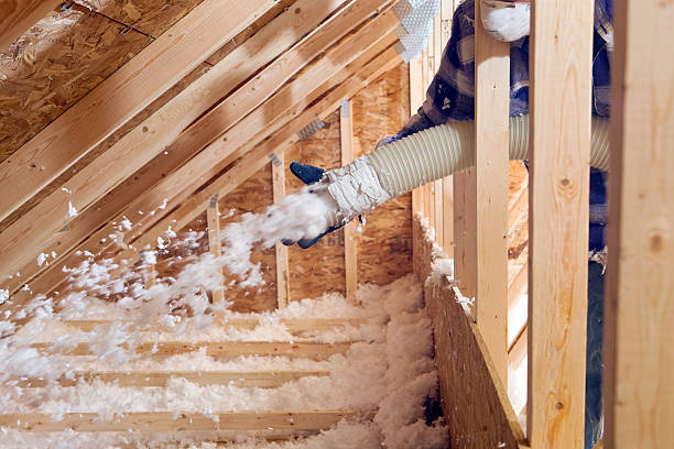 Best Blown-In Insulation in Level Park Oak Park, MI